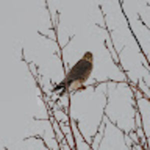 Meet your Posher, Benjamin